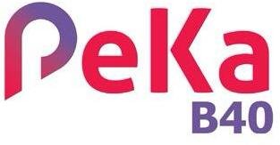 PeKa B40 panel logo